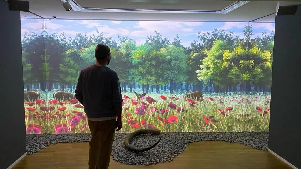 A visitor stands inside an immersive projection room showing a wildflower meadow and a forest in Time Swap.